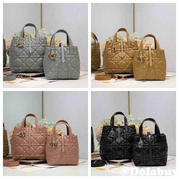 Small/Medium Dior Toujours Vertical Tote Bag calfskin